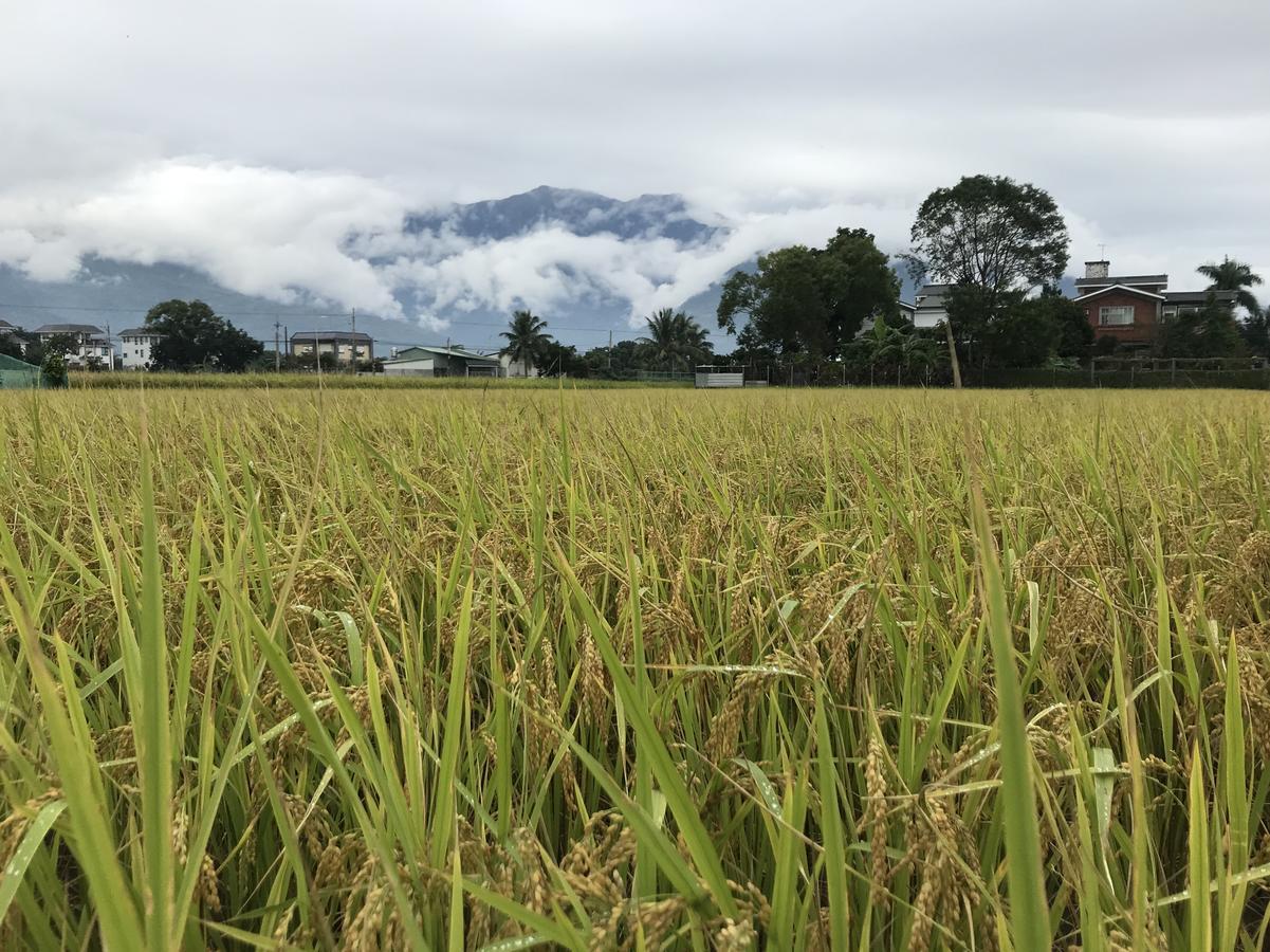 遊山水民宿 吉安 外观 照片